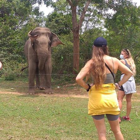 Nature Lovers Safari & Villa Udawalawe Luaran gambar
