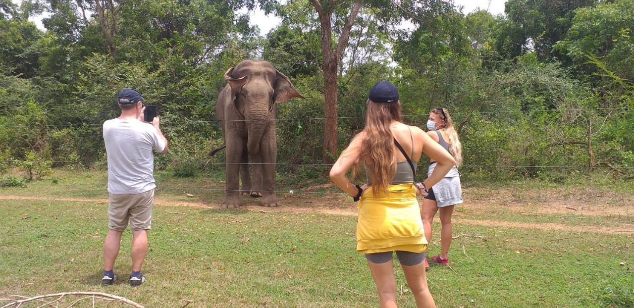 Nature Lovers Safari & Villa Udawalawe Luaran gambar