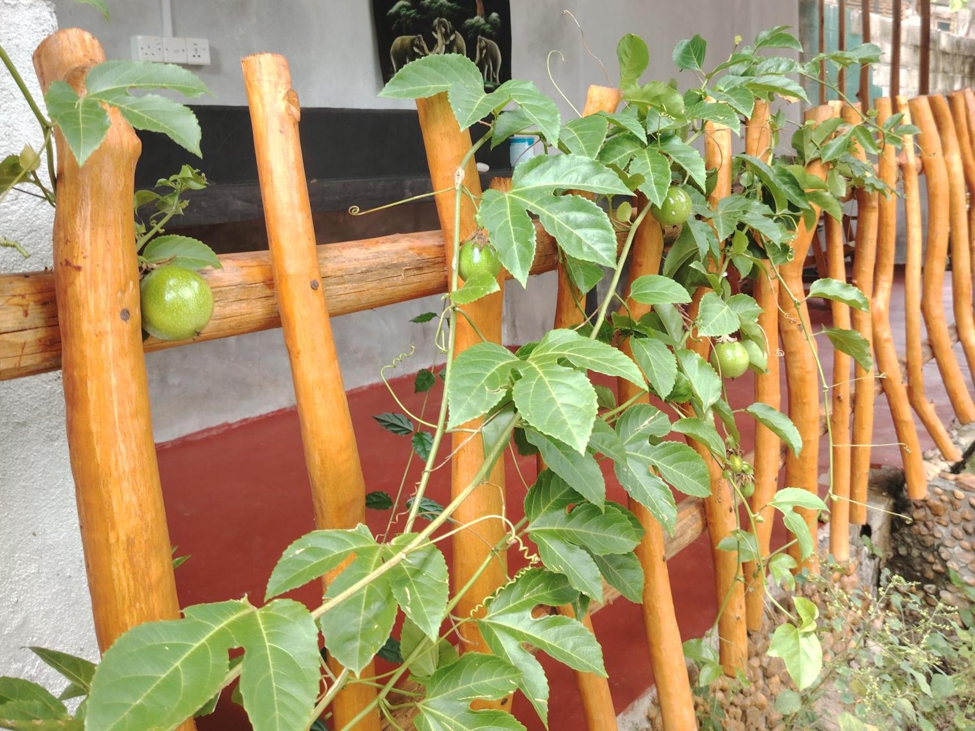 Nature Lovers Safari & Villa Udawalawe Luaran gambar